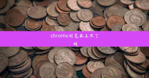 chrome浏览器上不了网