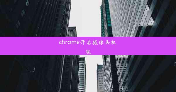 chrome开启摄像头权限