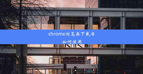 chrome浏览器下载后如何使用