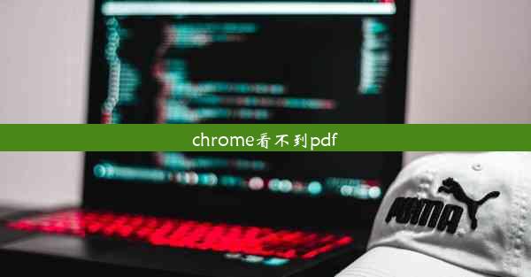 chrome看不到pdf