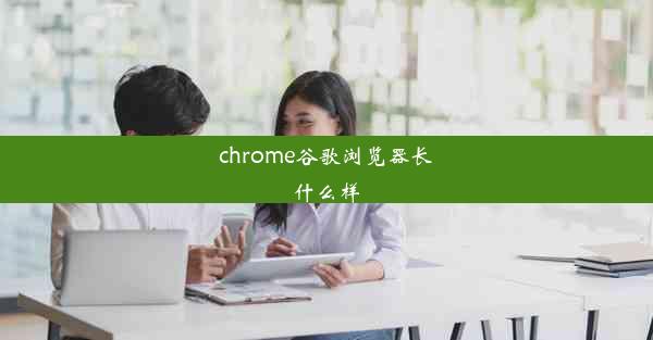 chrome谷歌浏览器长什么样