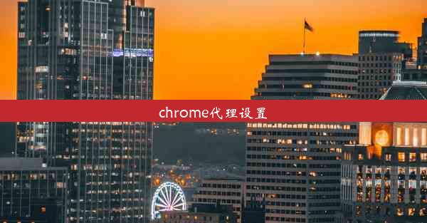 chrome代理设置