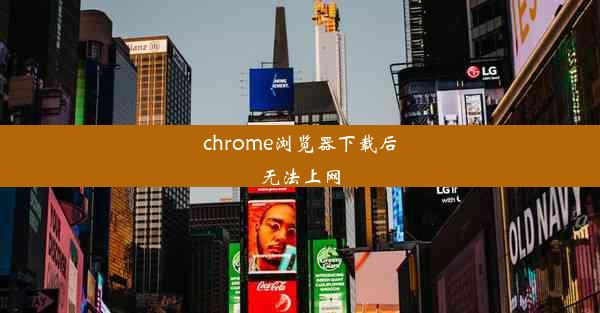 chrome浏览器下载后无法上网