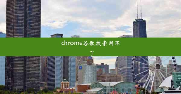 chrome谷歌搜索用不了