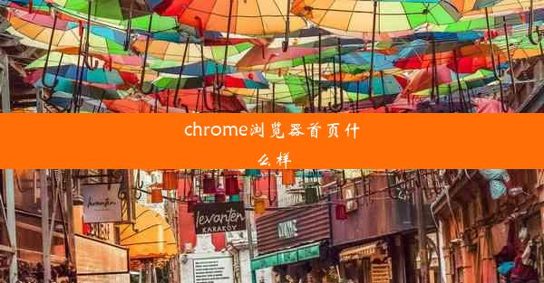 chrome浏览器首页什么样