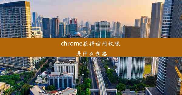 chrome获得访问权限是什么意思