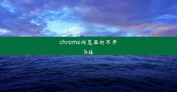 chrome浏览器打不开b站