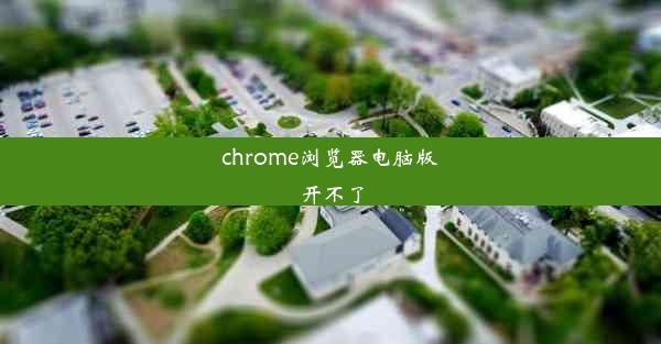 chrome浏览器电脑版开不了