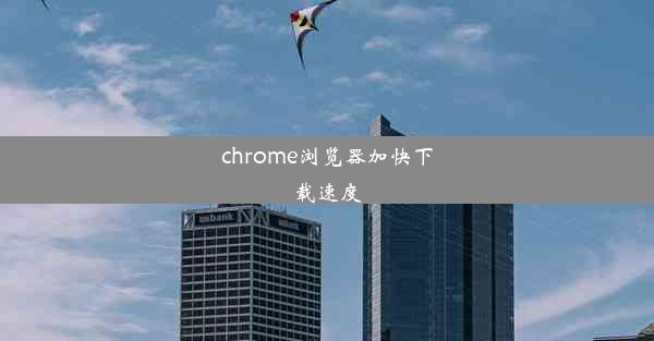 chrome浏览器加快下载速度