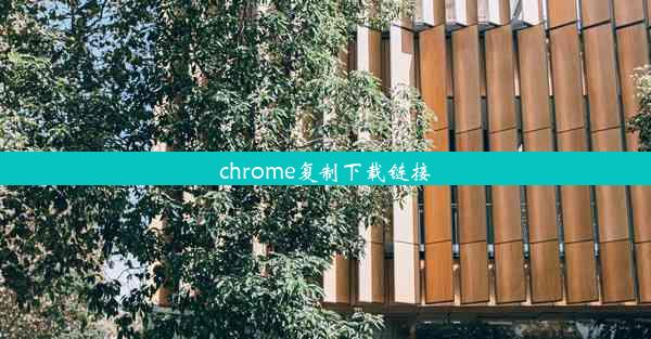 chrome复制下载链接