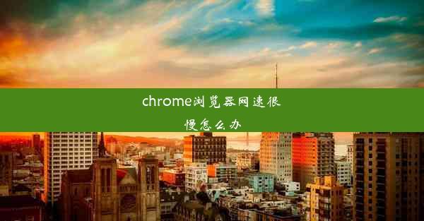 chrome浏览器网速很慢怎么办