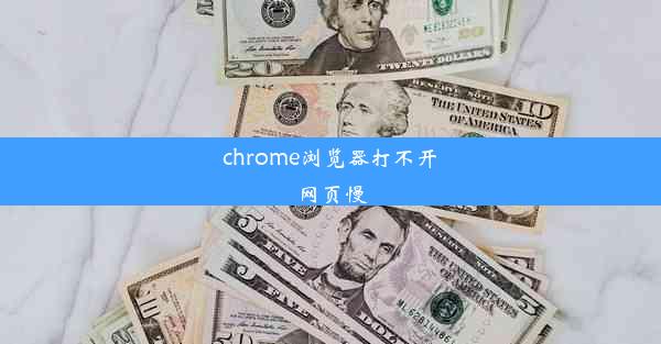 chrome浏览器打不开网页慢