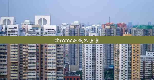 chrome加载不出来