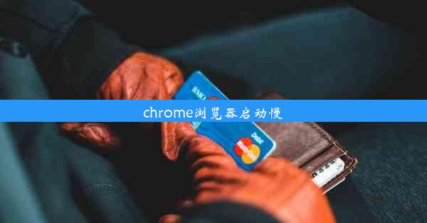 chrome浏览器启动慢