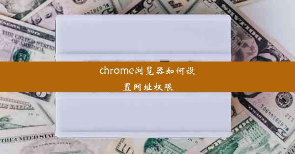 chrome浏览器如何设置网址权限