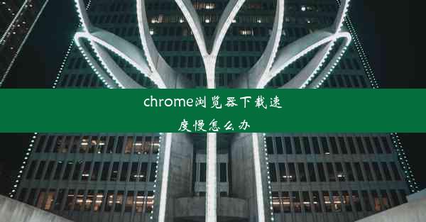 chrome浏览器下载速度慢怎么办