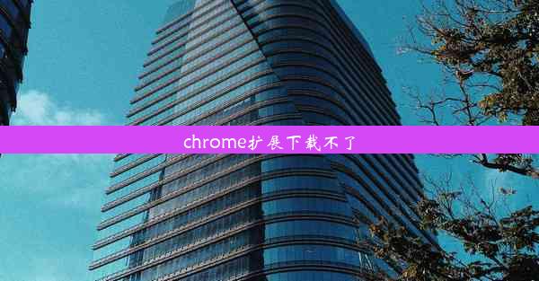 chrome扩展下载不了