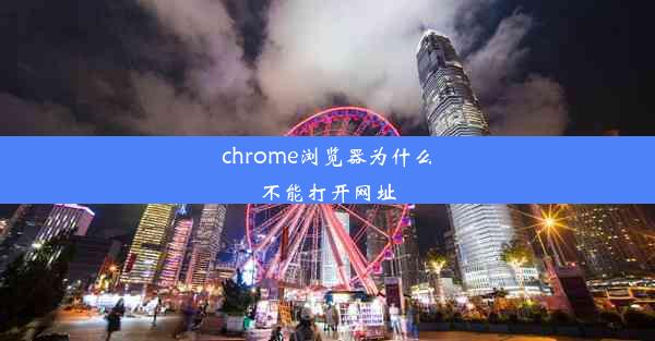 chrome浏览器为什么不能打开网址