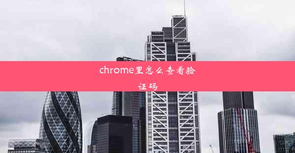 chrome里怎么查看验证码