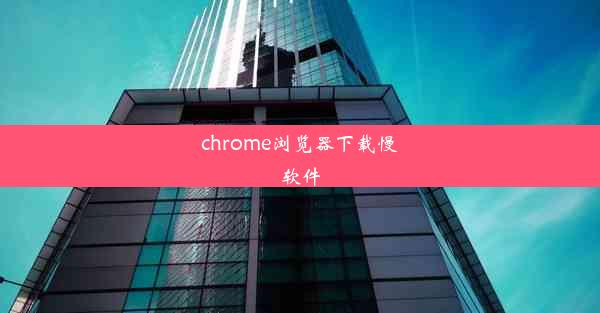 chrome浏览器下载慢软件