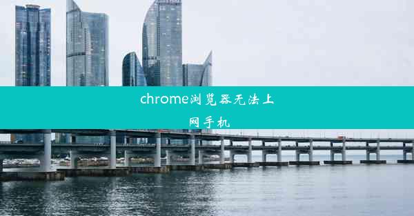 chrome浏览器无法上网手机