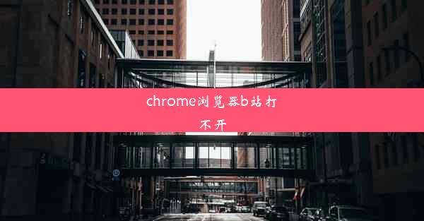 chrome浏览器b站打不开